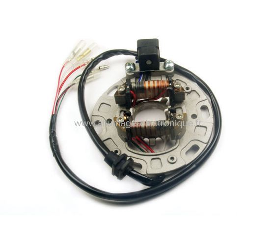 Stator allumage Kawasaki KX125, KX250 (8991)