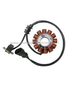Stator 125 APRILIA RS4 - DERB-168058