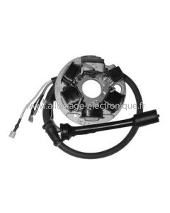 Stator alternateur PIAGGIO APE 50 (2009-2017) - Marque : DUCATI ENERGIA - Référence d'origine : 199500 - 497651