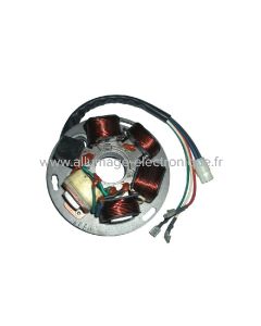 Stator alternateur PIAGGIO -VESPA PX 125 (1998-2017) - Marque : DUCATI ENERGIA - Référence d'origine : 217866 - 497652