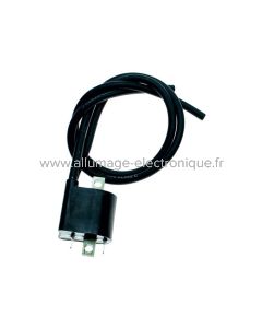 Bobine 2 sorties pour double allumage ou bi-cylindre avec CDI. Toutes marques. - HT2