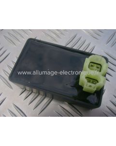 CD12201  - CDI - boitier d'allumage Ligier: BE Four 220cc