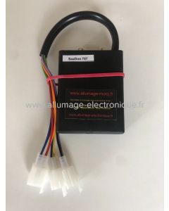 Boitier d'allumage électronique CDI pour moteur Rotax 787