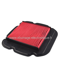 Champion Filtre à air CAF2611