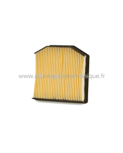 Champion Filtre à air CAF9006 