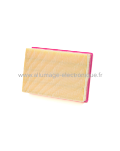 Champion Filtre à air CAF9009 