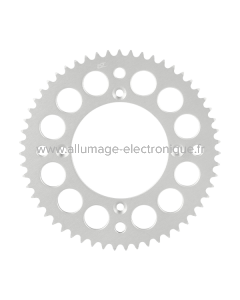 Pignon arrière 1509 - 43 E