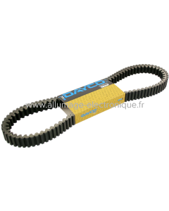 Courroie de transmission Dayco Piaggio Carnaby 200cc 2007/2008