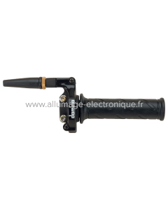 Commande d'accélérateur DOMINO Racing