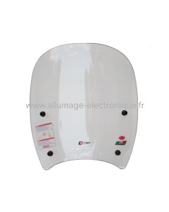 FACO Plaque Pare Brise SH 300cc 2011/2014 33196