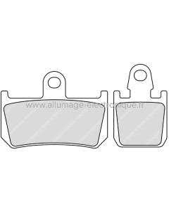 Plaquettes de frein Ferodo Sinter Racing FDB2217XRAC