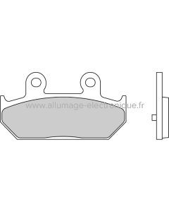Ferodo Plaquettes de Frein Sinter Grip Maxi Scooter FDB2173SM