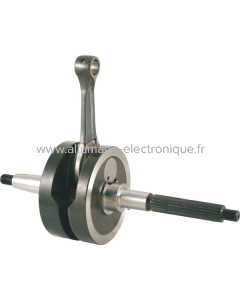Vilebrequin RMS Piaggio Liberty/Vespa Et4/Zip 50cc 4t