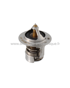 Thermostat RMS Piaggio Porter 1.3