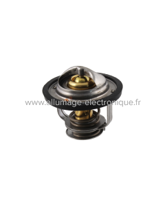 Huile de thermostat RMS Piaggio Porter 1.3