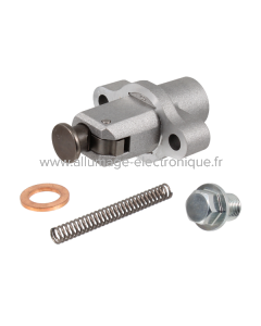 Tendeur de chaine complet RMS Yamaha X-Max 300cc