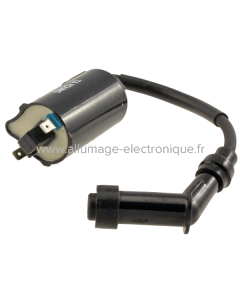 Bobine d'allumage RMS Kymco/Malaguti/Yamaha 250cc