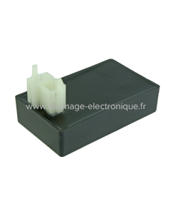 Boitier électronique RMS Kymco Dink Classic 200cc 2004