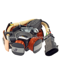 Stator RMS Aprilia/Piaggio 50cc