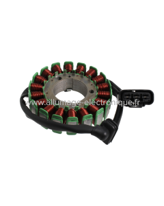 Stator RMS Benelli Trk 502