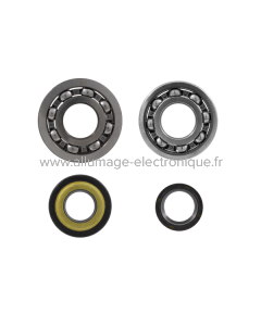 Kit révision vilebrequin RMS Classic Piaggio Ape 50cc