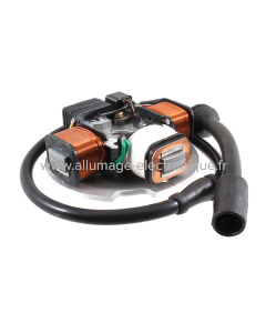 Stator RMS Classic Piaggio Vespa PK SENZA FRECCE S.AVV. 199491-19948