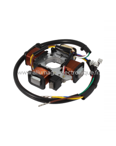 Stator RMS Classic Piaggio Ciao 293814