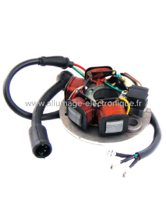 Stator RMS Classic Piaggio Vespa Pk 50-Ape 50 - 5 fils cc 199500