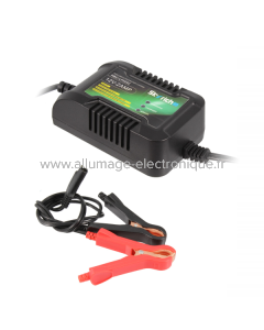 CHARGEUR DE BATTERIE SKYRICH