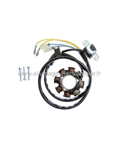 Stator d'allumage + eclairage - Honda CRF150F (2003-2014) CRF250 (04-09), CRF450 (01-08) - ST1495L