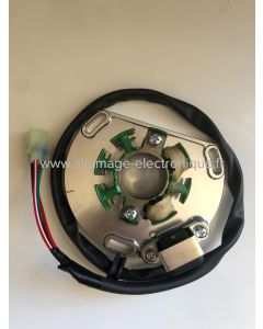 Stator allumage KTM 125, 250, 400, 450, 525, 560 SX SMR XC - ST5146P