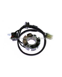 Stator allumage Suzuki RMZ 250 - ST2475